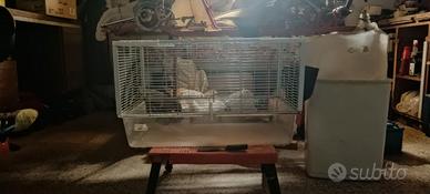 Gabbia per coniglio nano