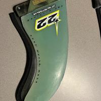 Pinna windsurf