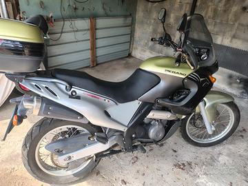 pegaso 650 