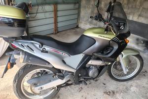 pegaso 650 