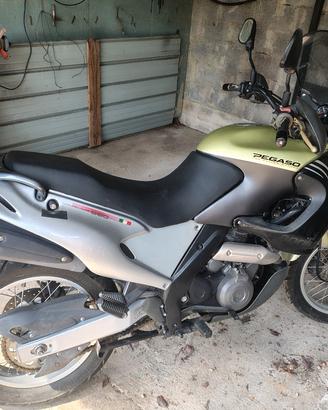 pegaso 650 