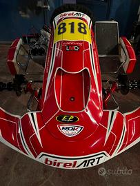 Birel art