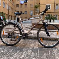 Mountain Bike GIANT TERRAGO