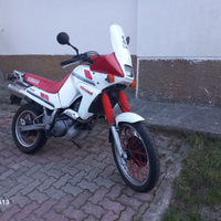 Yamaha XTZ 660 Ténéré 1991 Enduro d'Epoca FMI/ASI