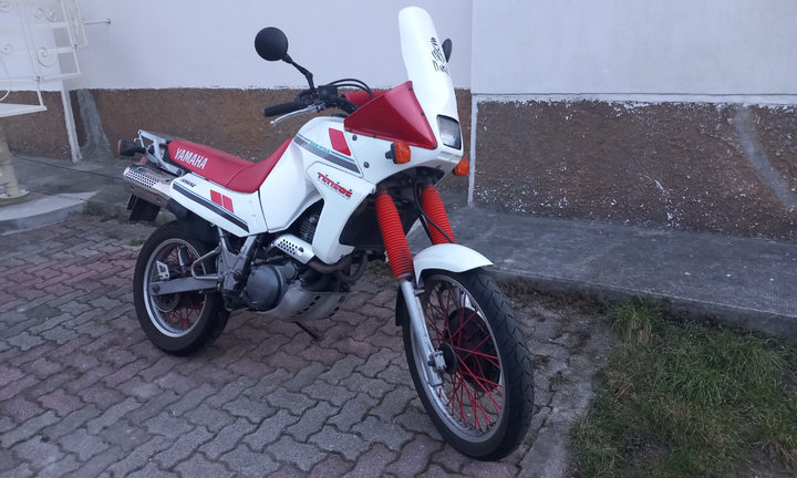 Teneré XTZ 660 del 91