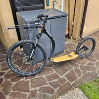 DogScooter Professionale GRAVITY 