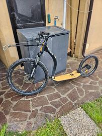 DogScooter Professionale GRAVITY 