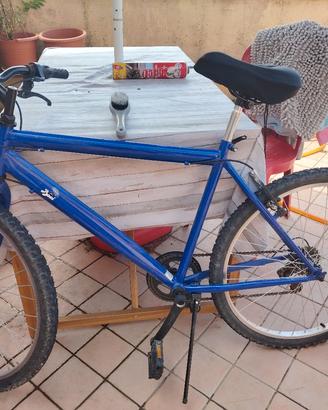 bici baci perugina
