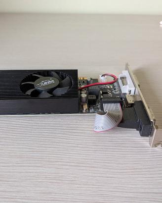 GT 730 4GB
