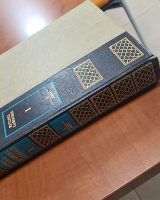 enciclopedia rizzoli larousse 16 volumi