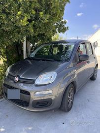 Panda hybrid