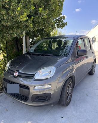 Panda hybrid