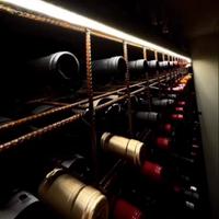 PARETE ATTREZZATA PORTA VINO 200x250