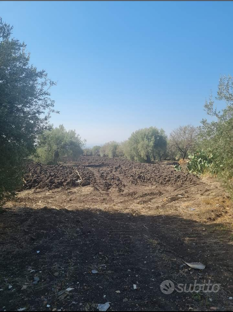 1 Terreno con Casetta - Vista 5