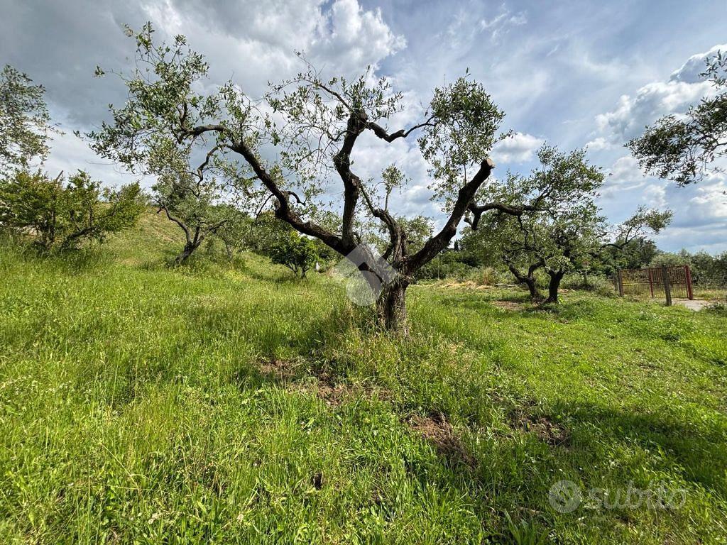 TER. RESIDENZIALE A MORLUPO - Altro