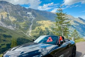 Bmw z4 sdrive 20i Msport