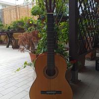 chitarra