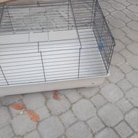 Gabbia coniglio nano o cavia