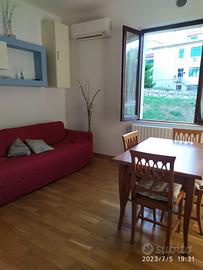 Affitt0 appartamento zona centro