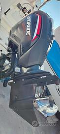 Evinrude etec 115 cv g2