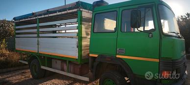 Camion 115-17 Iveco trasporto animali vivi
