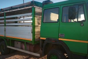 Camion 115-17 Iveco trasporto animali vivi