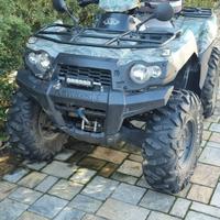 Quad Kawasaki Brute Force