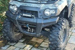 Quad Kawasaki Brute Force
