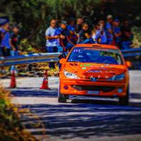 206 rc rally