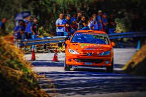 206 rc rally