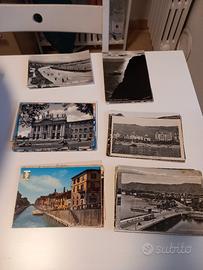 cartoline