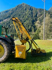 Braccio decaspugliatore orsi