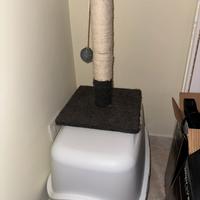 Trasporto gatti + tiragraffi