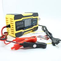 Caricabatterie per auto efficace universale 12V (1