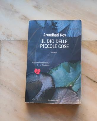 Libro il dio delle piccole cose