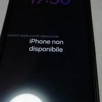 iPhone 14 e iPhone 6