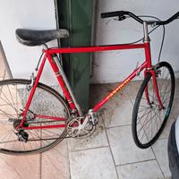 Bicicletta STELBEL