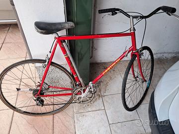 Bicicletta STELBEL