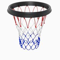 Rete basket portatile con supporto