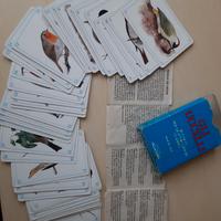 Gioco didattico di carte Gli Uccelli - Dal Negro