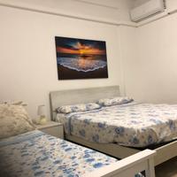 Appartamento pineto centro estate