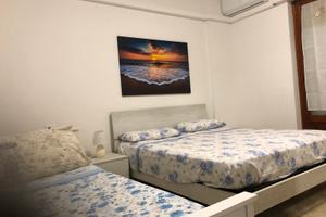 Appartamento pineto centro estate