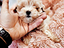 Immagine 30