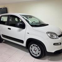 Fiat Panda 1.0 FireFly S&S Hybrid AZIENDALE