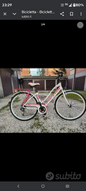 Bicicletta da donna