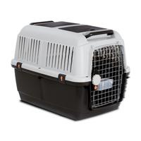trasportino kennel IATA 
