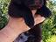Immagine 4