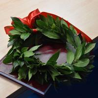 Supporto tesi di laurea, correzione bozze, editing