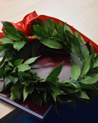 Supporto tesi di laurea, correzione bozze, editing