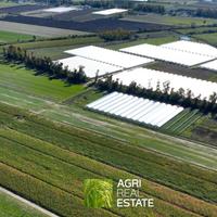 Terreno agricolo di 8 HA ca. | TR472